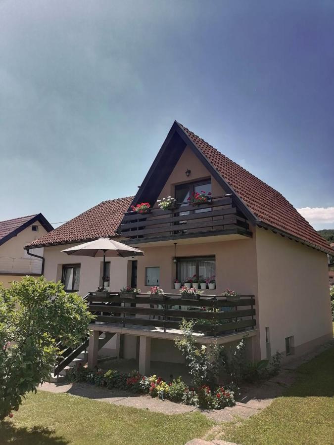 Hotel Putnicka kuca kod Dragane Bajina Basta Zewnętrze zdjęcie
